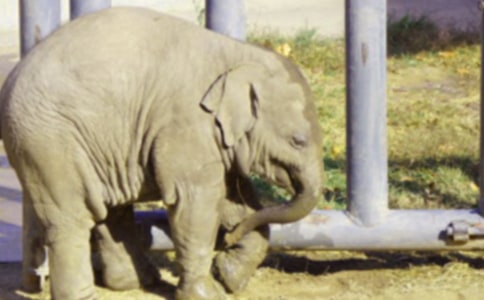 С���Ӵ���С�ܾ�С�����D��Ԓ