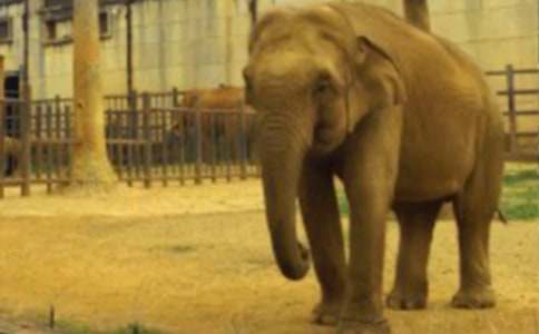 С�ô����^(gu��)�ӿ��D��(xi��)Ԓ