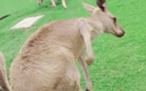 (��(j��ng)��)���������