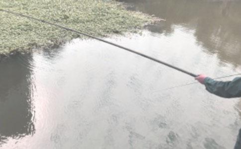 �x����~�Ć�ʾ���и�10ƪ