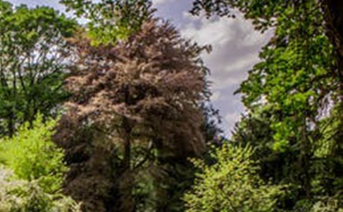 ���L���L������7ƪ