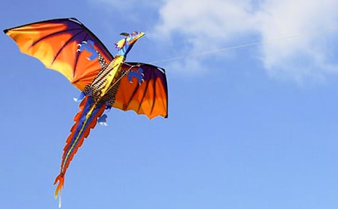 �����ϡ����L(f��ng)�~���D��Ԓ���꼉��