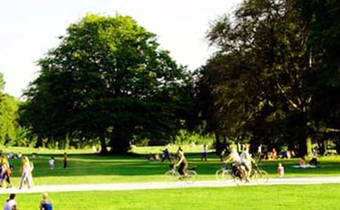 精選公園游記的作文300字3篇