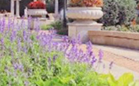 實用的公園游記的作文300字三篇