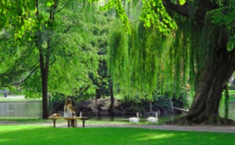 ���@������600��[��(y��u)��]