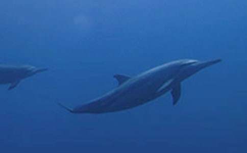 ���{ɫ�ĺ����u���x���(�ϼ�15ƪ)