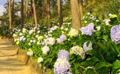 �λ��@����[��(sh��)��15ƪ]