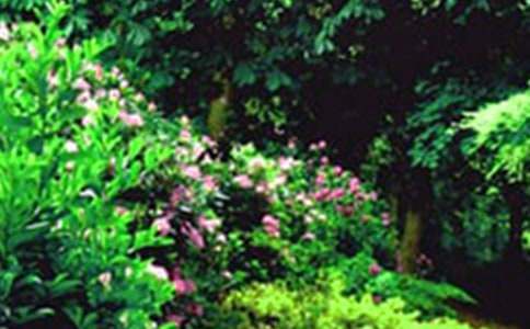 ����(sh��)�á��λ��@����