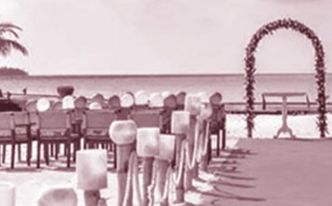 [��(y��u)�x]��Y�C�����C���~