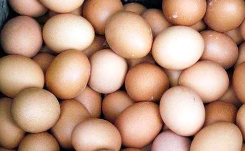 �u��������������15ƪ[��]