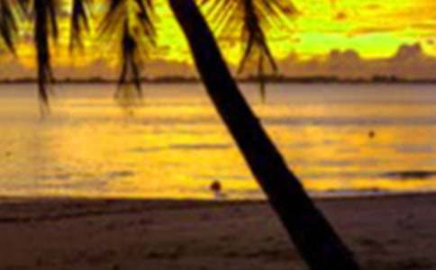 ��W(xu��)�����ڌ�(sh��)�`�ĵü���[15ƪ]