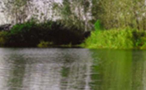 �茑(xi��)���˾�ɫ��Ԋ(sh��)��