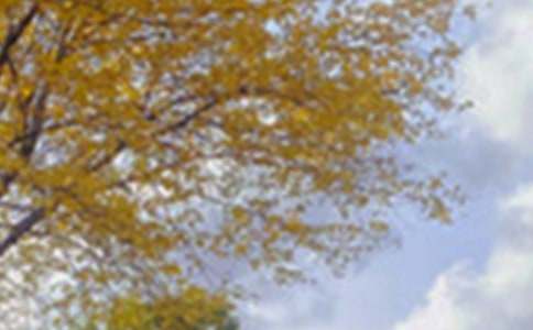 ����(y��u)�㣩��ɫ����600��4ƪ