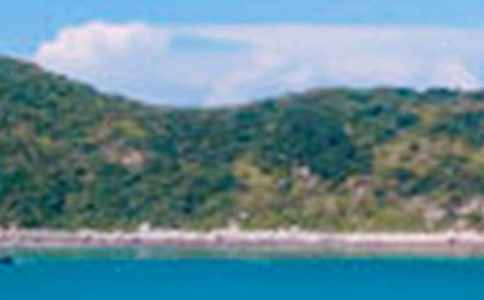 �茑���¾�ɫ��Ԋ��