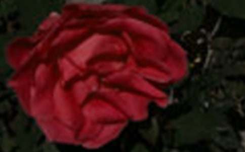 �tõ���c��õ���x���13ƪ