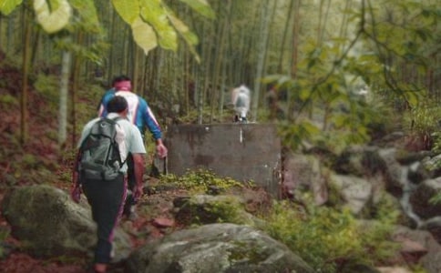 精選爬山游記作文三篇