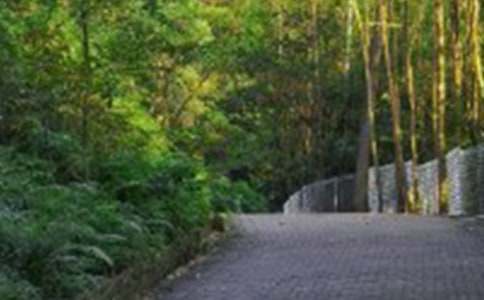 ���x��ɽ����ӛ���ļ�����ƪ