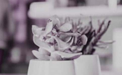 �҃�(n��i)���Բ軨��ô�B(y��ng)