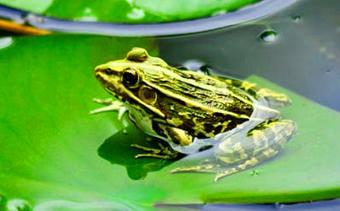 ������܊�F�۵����x���15ƪ