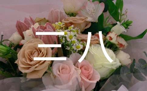 ��������ף���Z(y��)�̾�