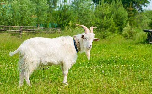 ɽ�򲻳����ò��x��кϼ�15ƪ