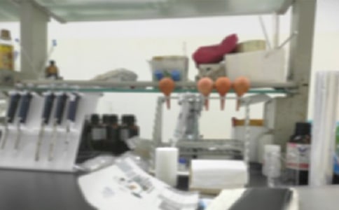 ���W(xu��)��(sh��)�(y��n)�Ұ�ȫ�؄t