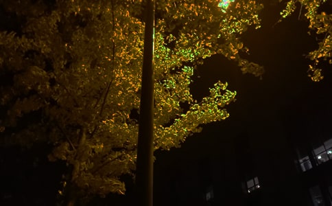 2026��ͨ��ÿ��һ���������Z����31�l