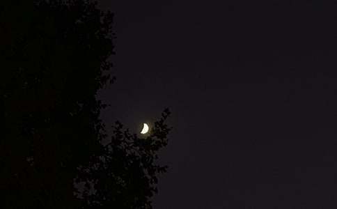 ͨ������ϵ�������Z���ż���45�l