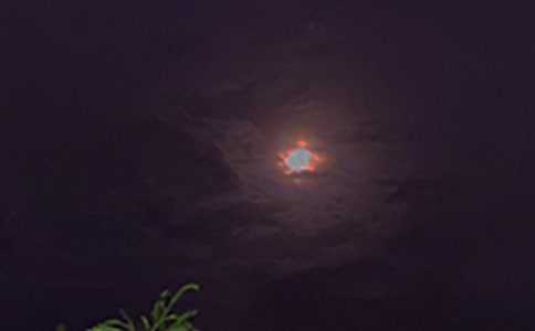 ���x��ܰ���������Z����56��