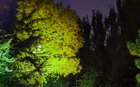 �������ZΨ������ �����Z��������ľ���