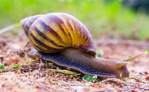 С΁ţ�^����ӛ11ƪ