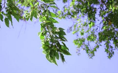 2021年治愈系午安QQ問候語匯總76條