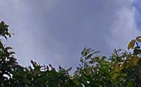 2026�ꃞ(y��u)�����簲��(w��n)���Z(y��)���Ŵ󼯺�73��