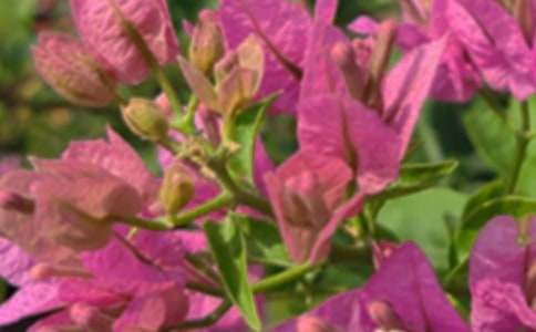 溫暖的午安微信問候語匯編69條