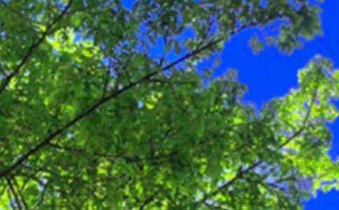 溫暖的午安QQ問候語48句