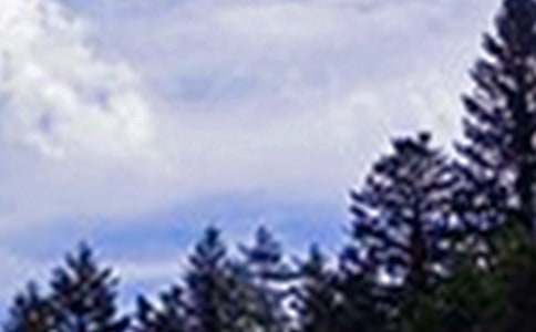 ��־�簲�f�f�R�������x50�䣩