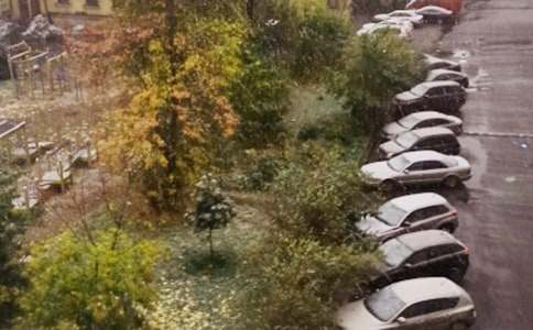 ��ѩ�����P��ף������