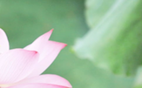 ����Ψ���̾䃞(y��u)�㣨15ƪ��