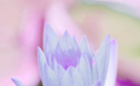 ����Ψ���̾伯�\15ƪ