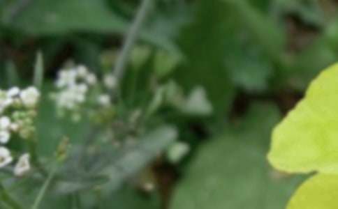 ����Ψ���̾䡾���T(m��n)��