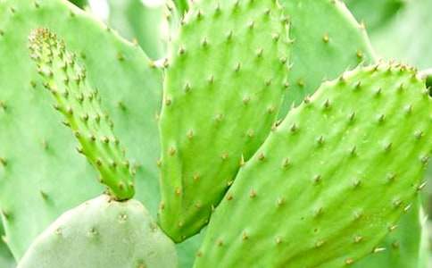 ����������14ƪ����(y��u)�㡿