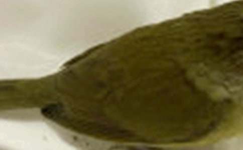 С�B��������