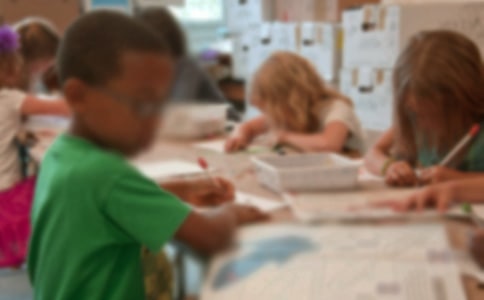 實用的小學(xué)生觀察日記范文集合5篇