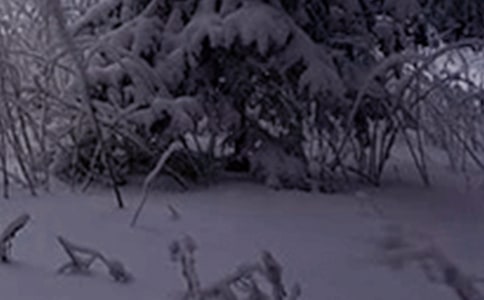 Сѩ��(ji��)��̾䡾�᡿