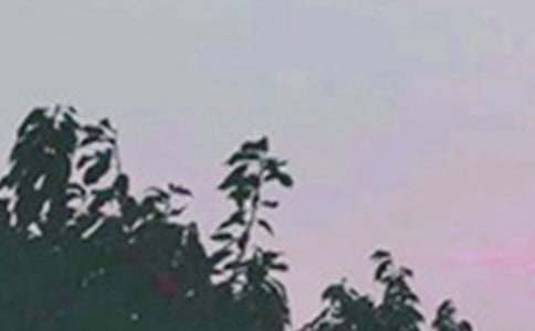 ����(sh��)�á�2023�����õ��簲ף���Z���Ŵ󼯺�50��