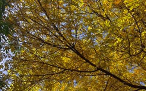 2026�곣�������簲�����Z���Ŵ󼯺�57��