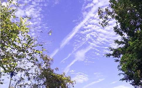 【實(shí)用】美好的早安祝福語短信集錦49句