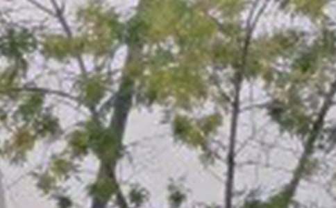 ���P(gu��n)ů���簲�f�f�R����ͨ��200�䣩