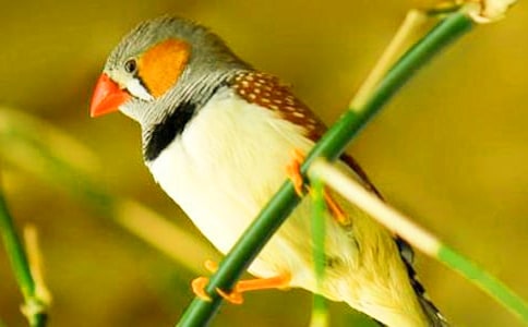 �����B(ni��o)�x���