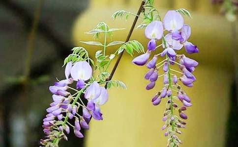 �P(gu��n)�����ٻ���Ψ���̾�